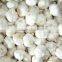 Chinese Garlic in Hot Sale