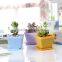 Cheap Square Black Plastic Plant Flower Nursery Pot 10*8.5cm