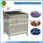 Hot sell small size ozone Fruit and Vegetable Washing Machine with air bubble, automatic vegetable and fruit washer