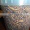 microwave dried & freeze dried mealworm for pet food