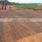plastic geogrid biaxial geogrid geogrid