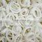 wholesale cheap best price u5 squid ring