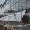 Commercial multi span Agricultural film greenhouse for sale