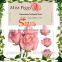 Chinese wonderful and beautiful Rose , similation 90%with hand touch artificial chinese rose for sale