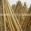 vineyard pole ,bamboo poles wholesale