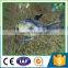 Plastic Mesh HDPE Knitted vineyard knotless bird proof net anti bird protection netting for vegetable with UV protection