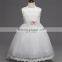 Baby Girl bowknot dress Trailing Princess party dress High Quality Wedding dress for girl with wholesale price