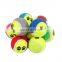 HQP-WJ112 HongQiang Pet tennis ball dog and cat teach to chew ball interactive puzzle dog toy