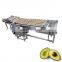 fruit cleaning machine laveur fruits maquina lavadora de fruta