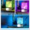 Wholesale rotating galaxy projector with remote control for gifts