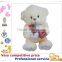 OEM Stuffed Toy,Custom Plush Toys, valentines day bear