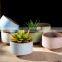 Macarons color flow glazed porcelain flower succulent pot