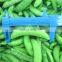 Experienced and Professional Supplier of IQF Frozen Sweet Sugar Snap Pea