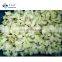 BRC A Approved IQF Cauliflower  IQF Frozen Cauliflower  with high quality Sinocharm