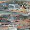 Ship Frozen Whole Argentina for Bait with size 200 - 300g