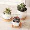 Cheap Home Garden Outdoor Indoor and Outdoor Modern Vase Sublimation Cute Pots Wholesaler Flower Pot Ceramic for Succulents