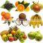 Multifunctional Apples oranges bananas grapes peaches pears packing machine