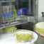 ultrasound sponge cake cutting machine to cut into squares and triangle shape