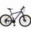 Cheap mountain bike 26 inch adult variable speed bicycle dual disc brake 21 speed mountain bike in stock