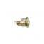 Shacman F3000 Truck Spare Parts DZ95189611301 Wheel Nut (30) / With Nut Protection Cap