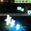 LED light art craft with remote control YXF-2107F