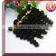 Factory wholesale price indian human hair extension grade 5a 6a 7a 8a wholesale pure indian remy virgin human hair weft