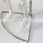 Medical standard human skeleton model skeleton teaching model 85CM skeleton can be bent