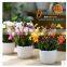 2016 roud ceramic pot cheap small flower pots for succulent plants for cheaper price