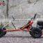 Racing196cc 6.5HP Go Kart Buggy for kids