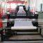 Plastic turf net production line