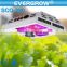 EverGrow 2016 Saga series Full Spectrum for Hydroponics plant hydroponic led