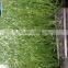 Good Budget Sports Artificial Grass Turf