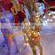 Warmwhite Led Copper Wire String Light Christmas Decoration Led String Light