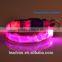 Nite Light Dog Buckle Collars and Leads With Flashing Camouflage patterns