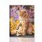 Handmade crafts Color Painting By Numbers Book For Sell DIY36