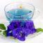 Dried Butterfly Pea flower Tea Indian Exporters