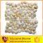 Anatolia Amber12''x12'' natural stone pebble mesh-mounted mosaic tile