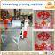 Paper / plastic bag printing machine price / non woven fabric bag offset printing machine