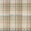 James 50s Slub Spring And Summer Colorful Check Series Soft Handfeel Popular Poplin Fabric for Women And Children Series Two