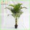 indoor home decorative artificial palm trees sale