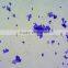 teaching and rescarching lab microbiology prepared slides for microscopes