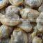 wholesale shell frozen fresh clam meat