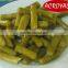 Canned Green Asparagus Tips and Cuts/Canned Food/Canned Vegetables