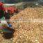 OnioN With Goodness Price and Quality
