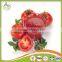 28-30% supply canned tin tomato paste