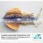 Wholesale process dried cuttlefish