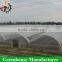 High quality commercial plastic greenhouse