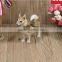 garden decorations furry dog real taxidermy