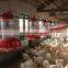 Poultry Farming Feeding Equipment for Chicken Farm|automatic Chicken Farming Equipment