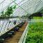 Low tunnel greenhouse for agriculture house